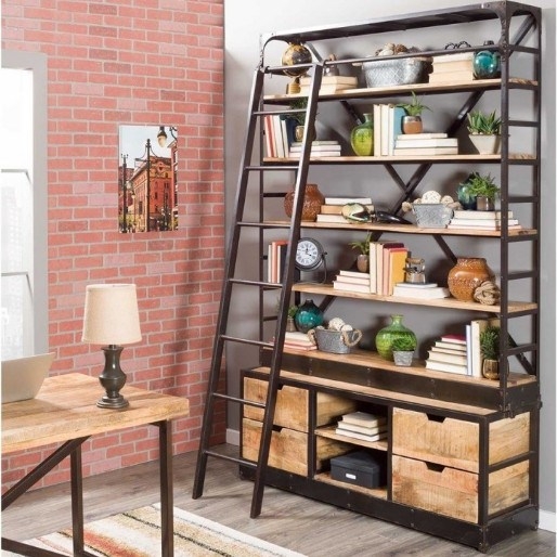 Industriële boekenkast met ladder